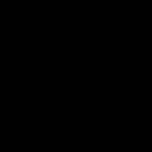 Meet your Posher, Genesis